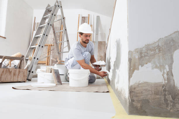 Best Black Mold Removal  in Westover, AL