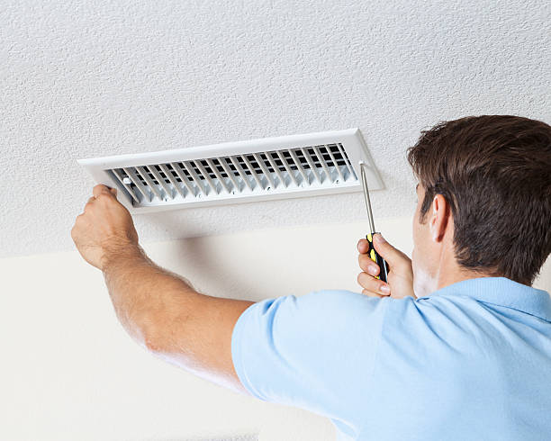 Professional Mold Removal in Westover, AL